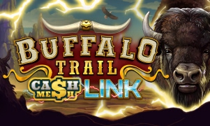 Buffalo Trail - Cash Mesh LIN