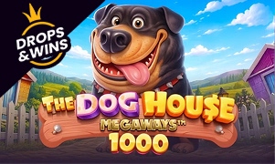 The Dog House Megaways™ 1000