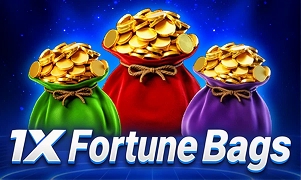 1X Fortune Bags
