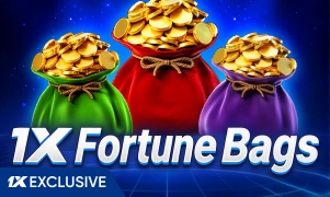 1X Fortune Bags