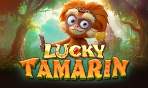 Lucky Tamarin