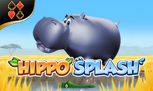 Hippo Splash