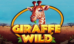 Giraffe Wild