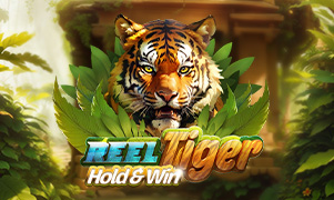 Reel Tiger Hold & Win