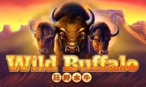 Wild Buffalo