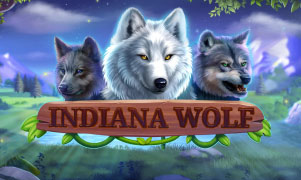 Indiana Wolf
