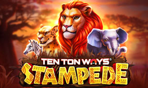 Ten Ton Ways Stampede