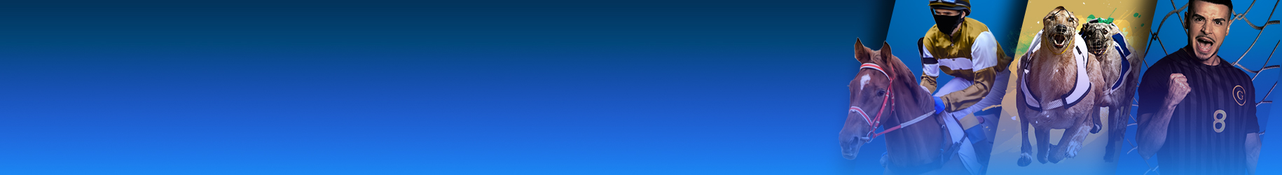 1-Golden Race-banner